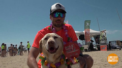 Красиво плывут! Доброе утро. Фрагмент 