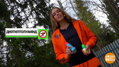Комары не пройдут. Доброе утро. Фрагмент