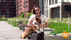 Кошка: стричь или как? Доброе утро. Фрагмент