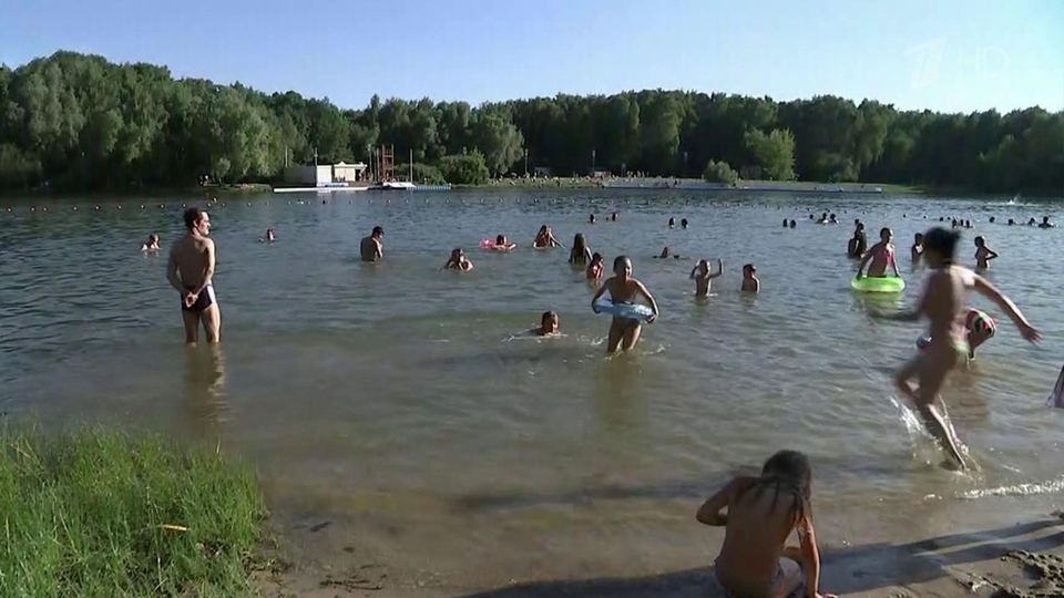 В российских регионах, где установилась жара, резко участились случаи укусов клещей