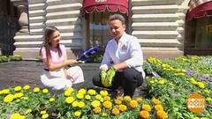 Фестиваль цветов в ГУМе. Доброе утро. Суббота. Фрагмент