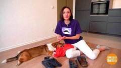 Если собака ест обувь… Доброе утро. Фрагмент