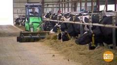 Рейтинг сельских профессий. Доброе утро. Фрагмент