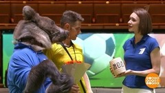 Помните, медведи не врут! Животные–провидцы в эфире программы «Доброе утро»