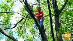 Дмитрий Талабуев на дереве. Доброе утро. Фрагмент