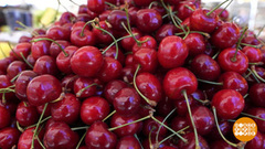 Гостинцы с юга: что привезти? Доброе утро. Фрагмент 