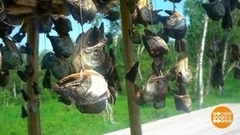 Вяленая рыбка: секреты со всей страны. Доброе утро. Фрагмент 