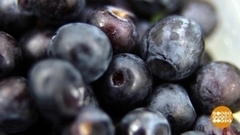 Айда за черникой! Доброе утро. Фрагмент 