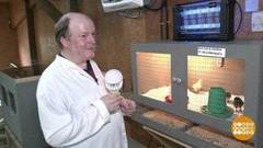 Ловушки для мух: ищем альтернативу «липучке». Доброе утро. Фрагмент 