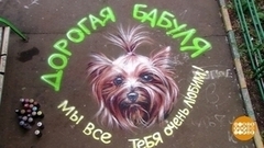 Мой двор — мои правила? Доброе утро. Фрагмент