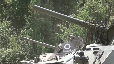 Самоходные артиллерийские установки «Нона» уничтожили скопление бронетехники и живой силы националистов