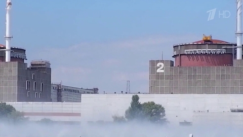 На Запорожской АЭС после атаки радикалов повреждена система охлаждения ядерных реакторов