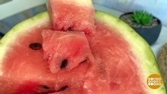 Возвращаем товар в магазин: а арбуз — можно? Доброе утро. Фрагмент 