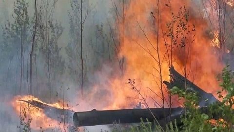 До Москвы дошел дым от природных пожаров в Рязанской и Владимирской областях