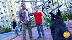 Подозрительная собака — как с ней себя вести. Доброе утро. Фрагмент 
