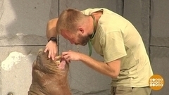 «Кипер» — значит заботливый. Доброе утро. Фрагмент 