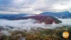 День республики Коми: яйца динозавра, «Медвежья лапа» и ручные лоси. Доброе утро. Фрагмент 