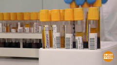 Считаем антитела. А смысл? Доброе утро. Фрагмент