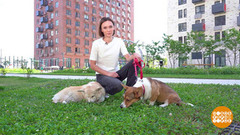 Кошки, собаки и… цветы. Доброе утро. Суббота. Фрагмент