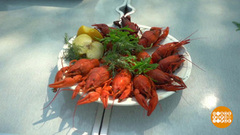 Ловим раков. Доброе утро. Фрагмент