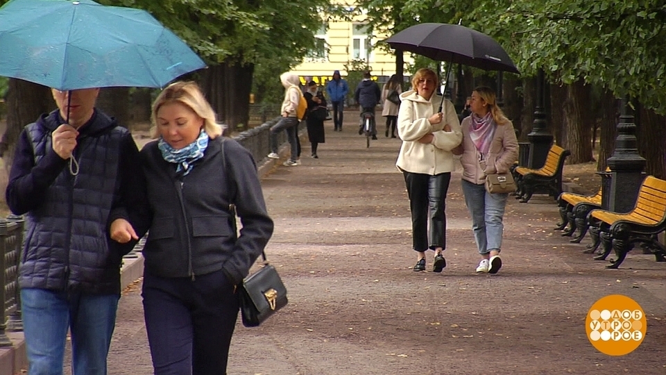 Актеры коренные москвичи