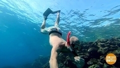 Раннее бронирование: выбор экономных. Доброе утро. Фрагмент 