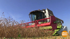 Хлеба хватит на всех. Доброе утро. Фрагмент