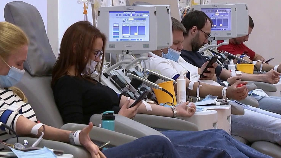 Во Всемирный день доноров костного мозга рассказали о создании специального регистра в России