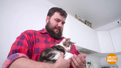 Воспитываем котят. Доброе утро. Фрагмент