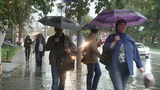 Суббота, 24 сентября, стала в Москве самым дождливым днем за 70 лет