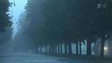 Сильный туман накрыл утром Москву
