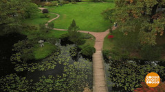 Все в сад! В Главный ботанический… Доброе утро. Фрагмент 