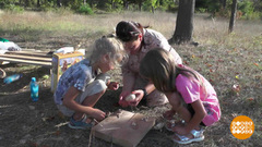 Поиграем в бирюльки? Доброе утро. Фрагмент