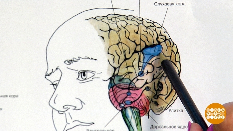 Что то с памятью моей стало картинки прикольные