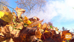 Что делать с дачным мусором? Доброе утро. Фрагмент