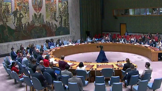 В Совбез ООН представлен проект резолюции по расследованию ситуации с биолабораторями на Украине