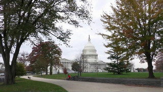 Избиратели обвинили конгрессвумен США Ильхан Омар в разжигании конфликта на Украине