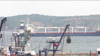 Россия выходит из зерновой сделки, но готова безвозмездно поставлять до полумиллиона тонн продукции беднейшим странам