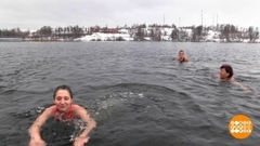 Моржи открывают сезон. Доброе утро. Фрагмент