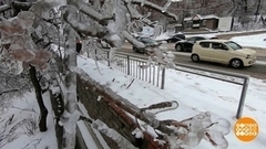 Техногенная гололедица: при чем тут машины? Доброе утро. Фрагмент 