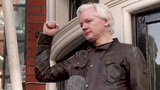 Несколько крупнейших СМИ Европы и США направили коллективное письмо американскому правительству с призывом снять все обвинения с основателя WikiLeaks