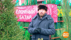 Выбираем  живую елку. Доброе утро. Фрагмент