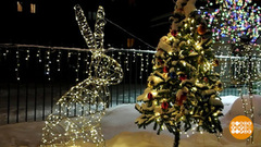 Чей двор самый нарядный? Доброе утро. Фрагмент 