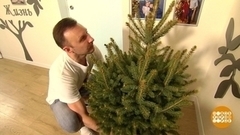 Два дня до Нового года: успеть все! Доброе утро. Фрагмент