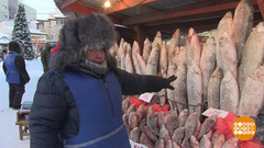 Холода — не беда! Доброе утро. Фрагмент