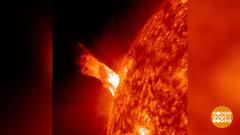 Солнце кипит! Доброе утро. Фрагмент 