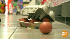 Платить — не нужно! Доброе утро. Фрагмент