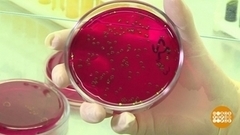 Больше бактерий, хороших и разных! Доброе утро. Фрагмент 