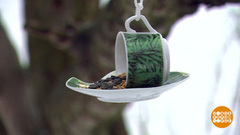 Больше кормушек, хороших и разных! Доброе утро. Фрагмент