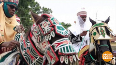 Лошадиный фестиваль. Доброе утро. Фрагмент